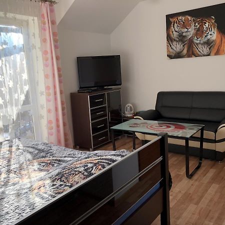 Agata Apartment Wisla Exterior photo