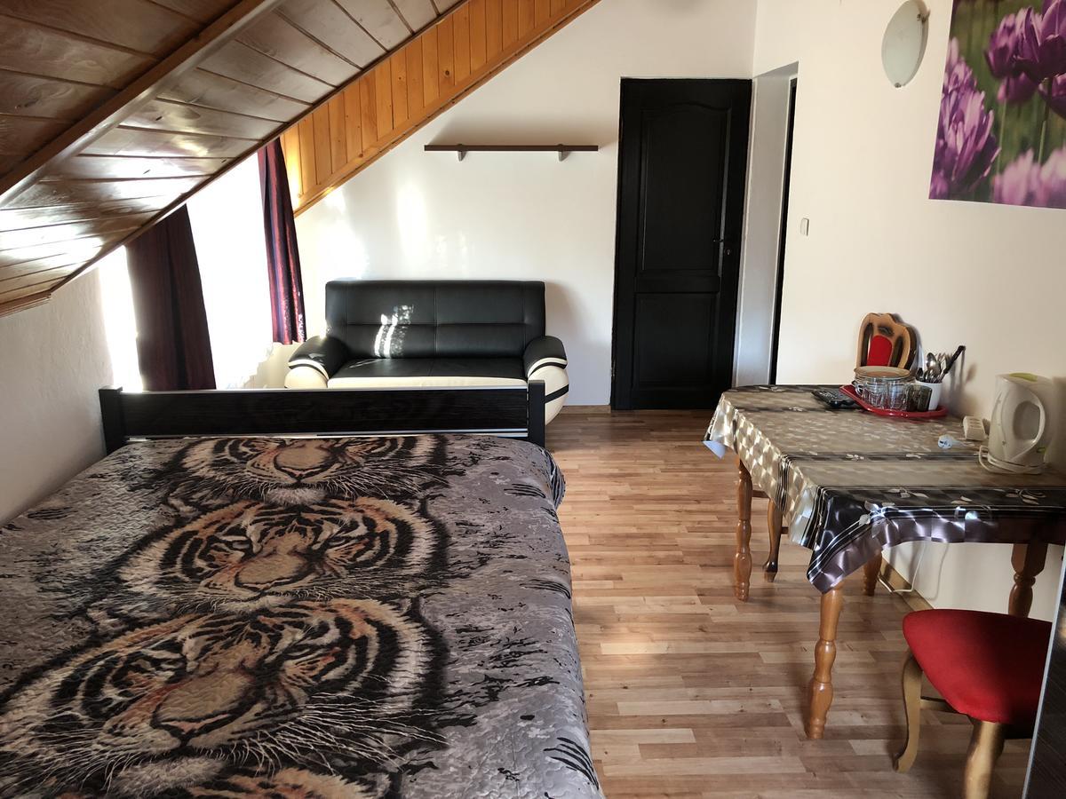 Agata Apartment Wisla Exterior photo